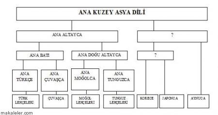 Altay Dil Teorisi, Bu Teoriye Karşı Çıkan Araştırmalar ve Dayanakları