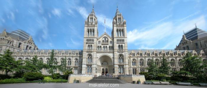 natural history museum