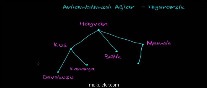 dil bilgisinin alt kolları