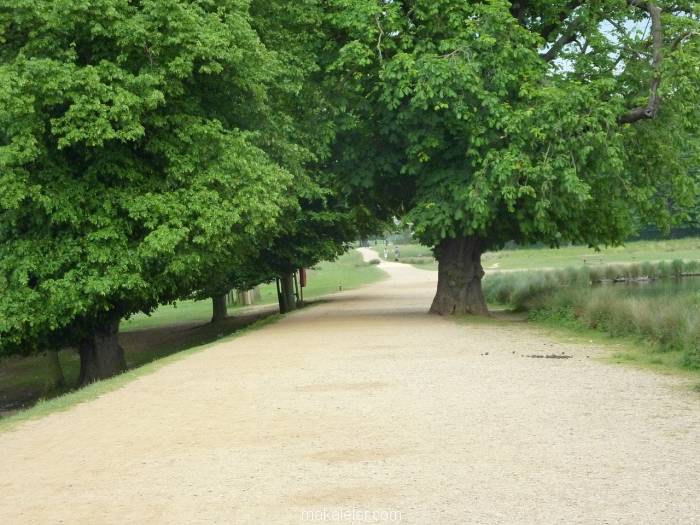 richmond park