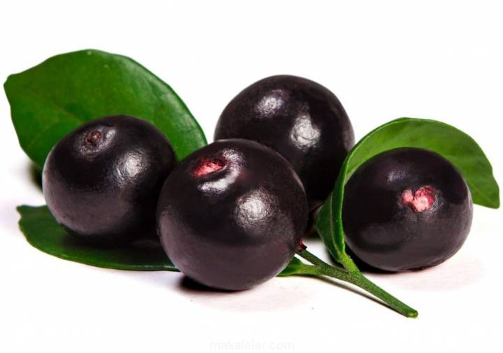 Acai Berry Çayı Nedir, Faydaları Nelerdir?