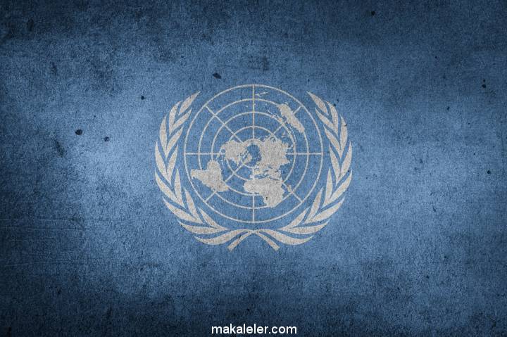 Birleşmiş Milletler (BM) Nedir? (Kuruluşu, Amacı, Yapısı)