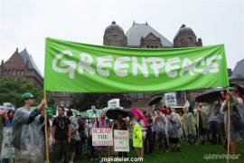 Greenpeace Nedir? (Amacı, Çalışmaları, Başarıları)