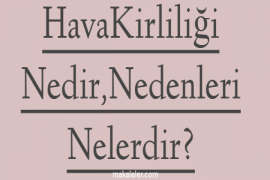 Hava Kirliliği Nedir, Nedenleri Nelerdir?