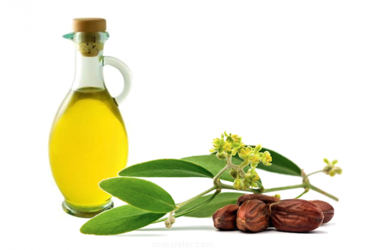 Jojoba Yağının Faydaları Nelerdir?