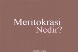 Meritokrasi Nedir?