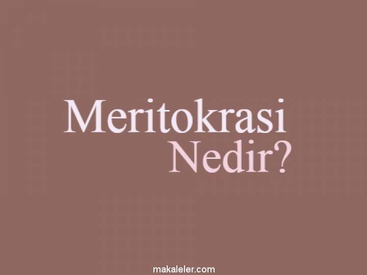 Meritokrasi Nedir?