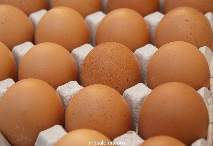 Organik Yumurta Nedir, Normal Yumurtadan Farkı Nelerdir?