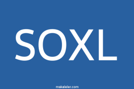 SOXL Hissesi Nedir, İçeriği Hangi Hisselerden Oluşur?