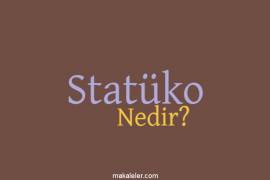 Statüko Nedir?