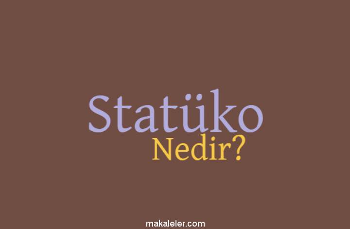 Statüko Nedir?