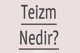 Teizm Nedir?