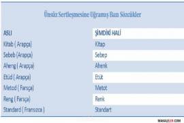 Türkçede Ses Olayları Nedir?